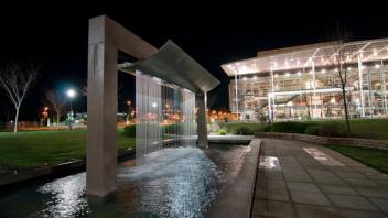 garden at night