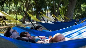 hammocks