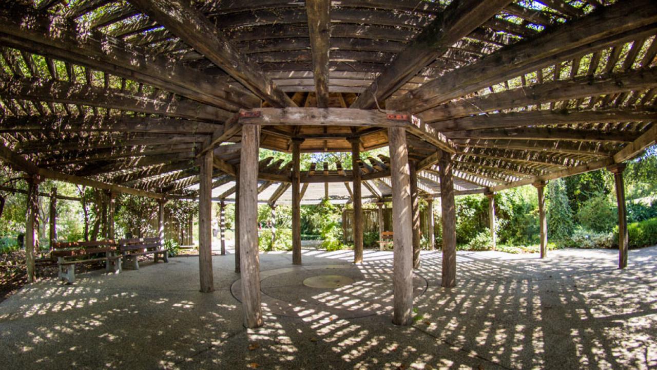 the gazebo