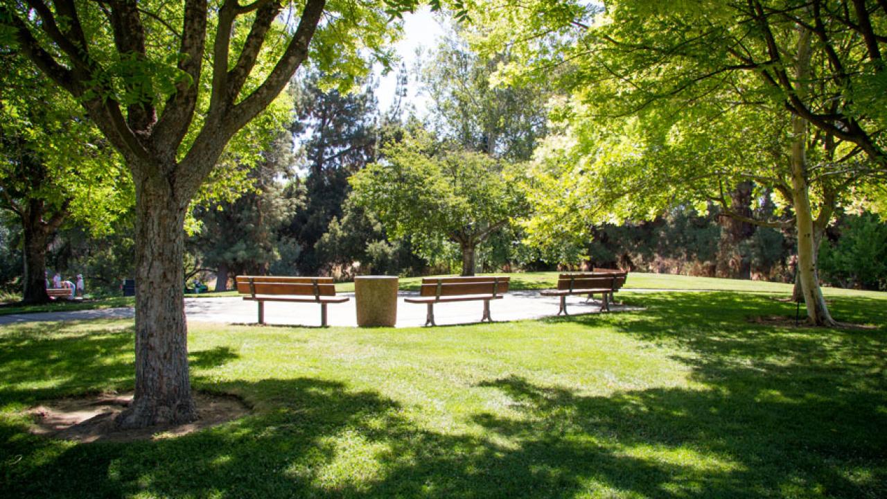 The Gazebo