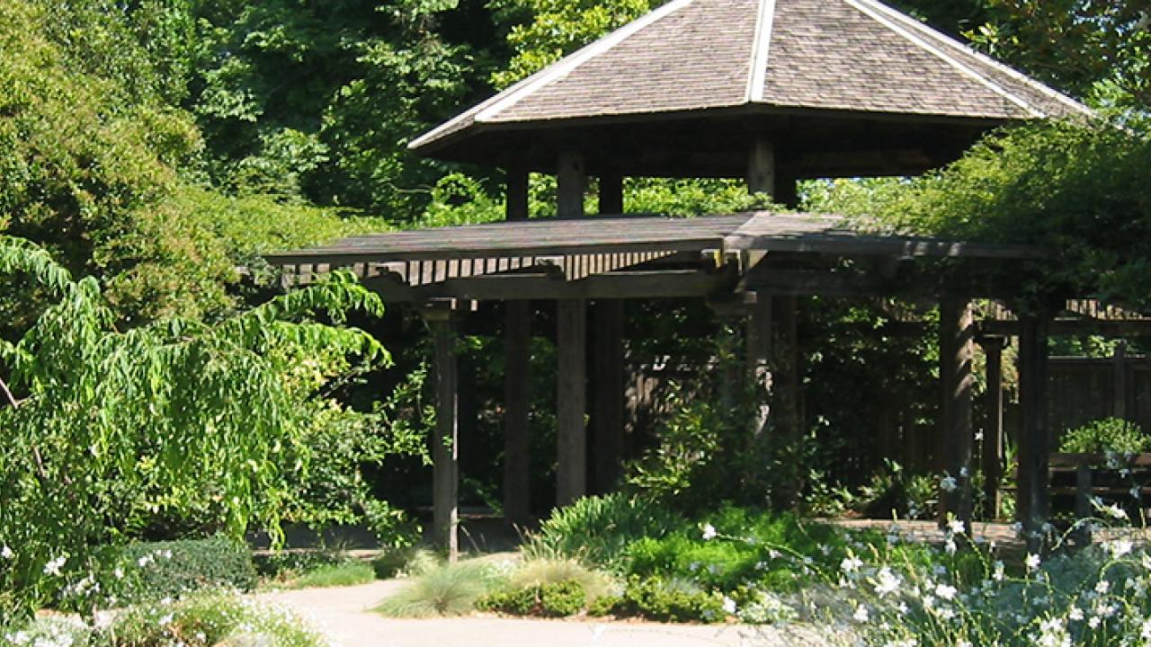 Porno haqida malumot