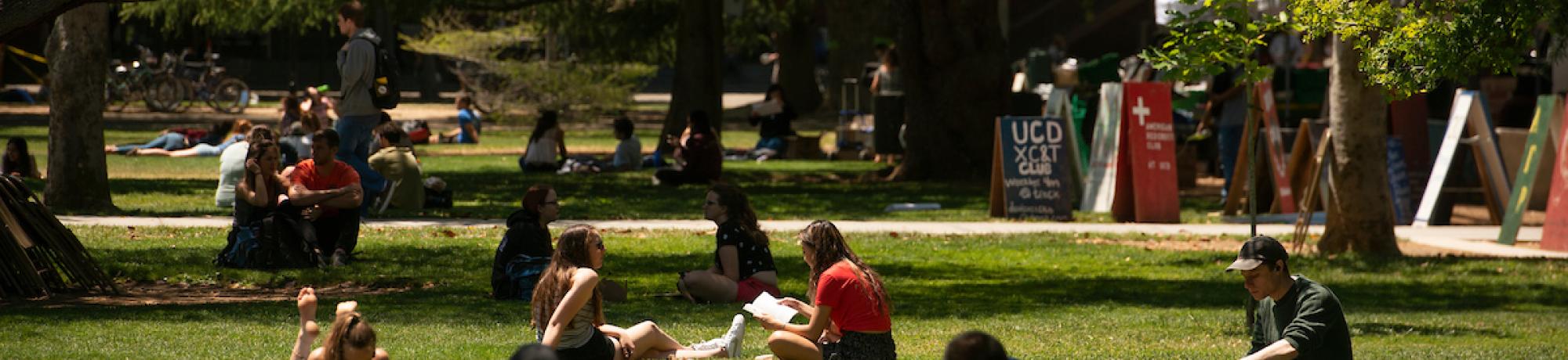 the quad
