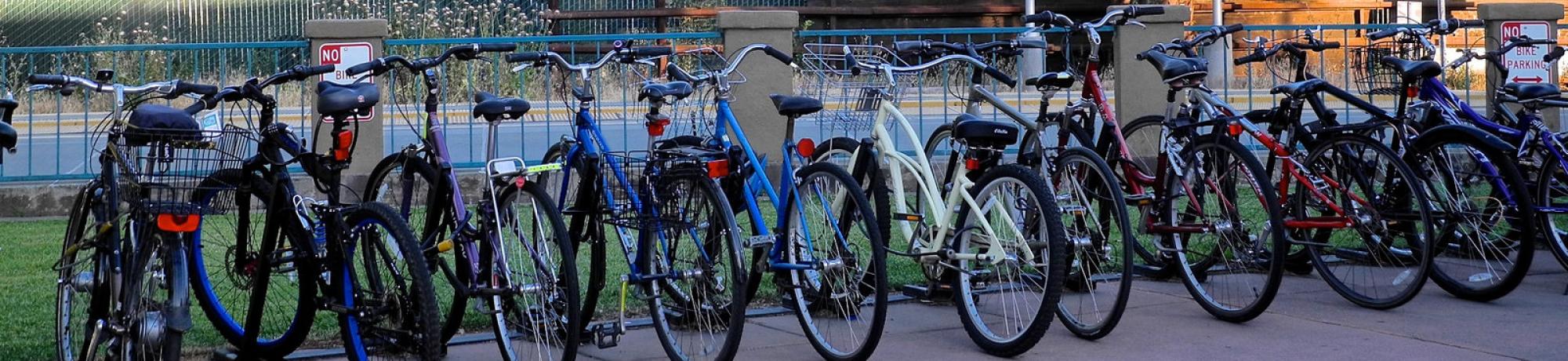 bikes in Davis CA
